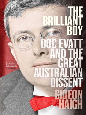 cover image of The Brilliant Boy